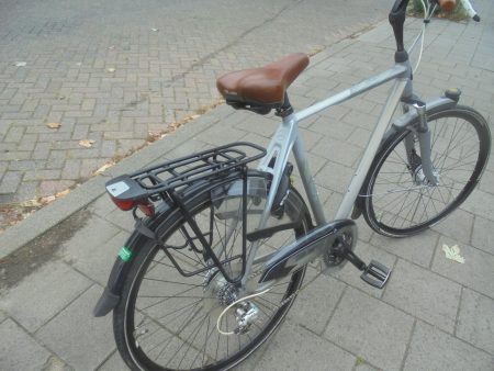 28 Inch Gazelle Allure Met 24 Versnellingen Deore Lx