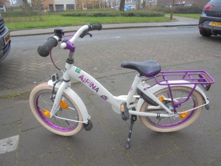 16 Inch Alpina Girlpower Met 1 Handrem En Een Terugtraprem