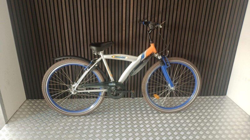 Batavus Snake Grijs F 77540