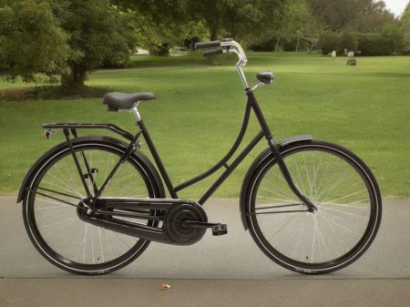 Avolon Classic Deluxe Omafiets Kt Remnaaf Dames Zwart 50Cm Dames 2025