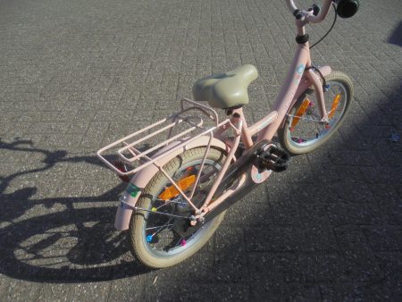 16 Inch Bike Fun Flower Fun Met Een Terugtraprem
