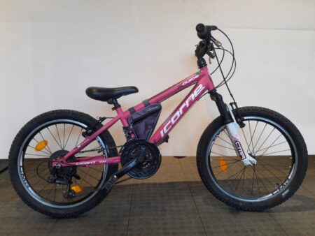 20 cali Licorne Xguide z 18 biegi en handremmen.