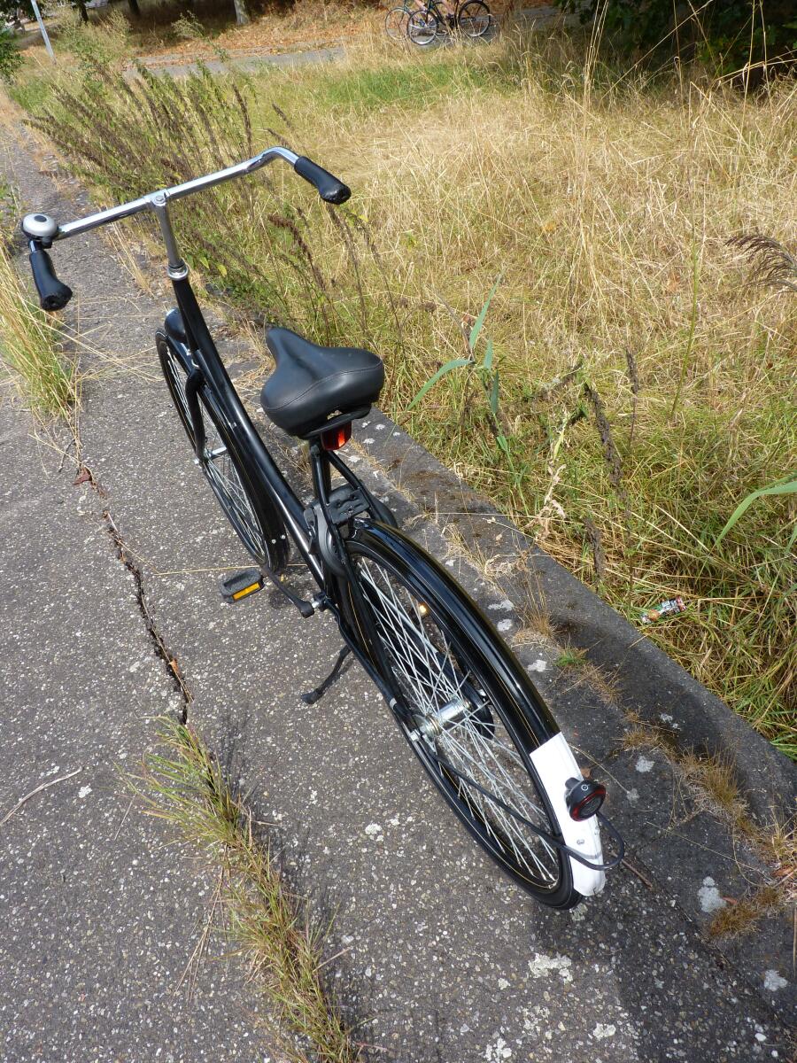 Oma Nowoczesny klasyczny rower holenderski (klasyczny rower damski) – rama 57cm - obrazek 3