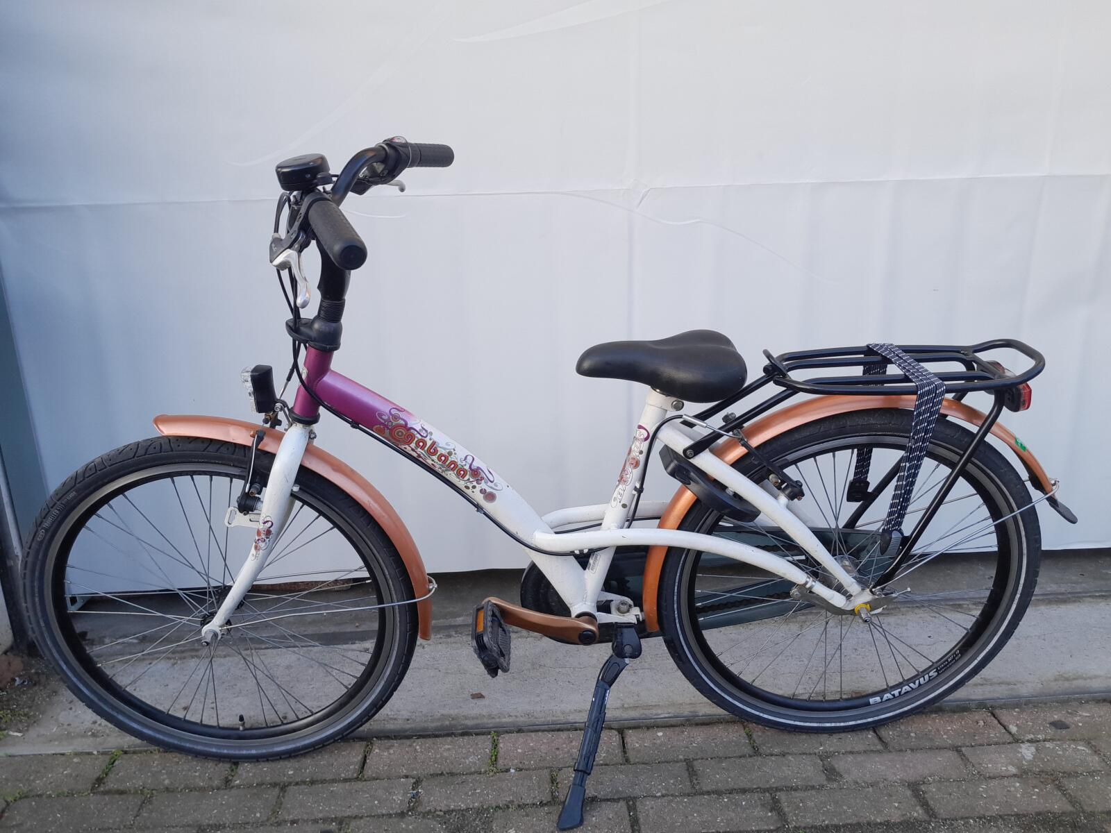 24 cali Batavus Gabana z 3 biegi en een terugtraprem. - obrazek 2