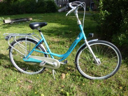 Familiefiets! Gazelle Bloom
