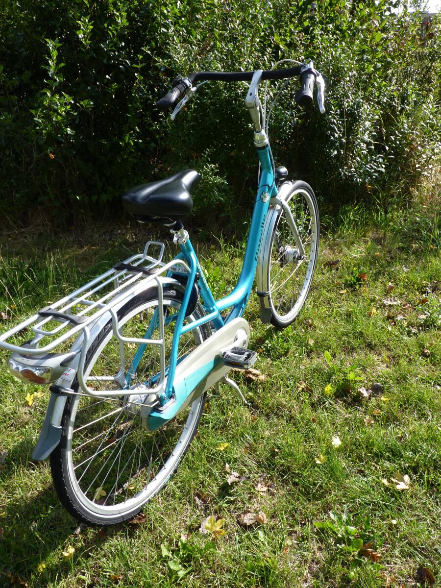 Familiefiets! Gazelle Bloom - obrazek 3