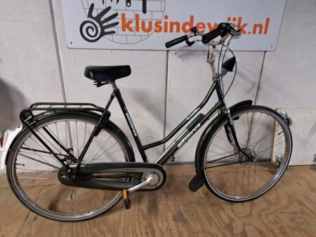 Batavus Torino