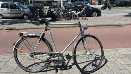 Szary/metaliczny Gazelle Tour de France