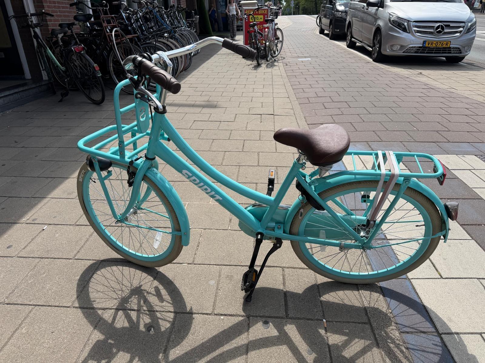 Turquoise Spirit Dziecięcy transport - obrazek 3