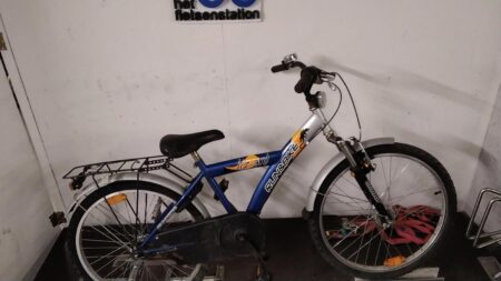 Run & Lizard Kinderfiets Run & Bike Lizard Dziecięcy