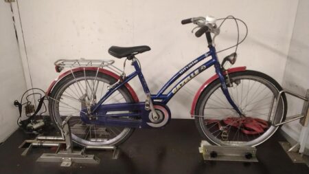 Niebieski Gazelle Whale Kinderfiets