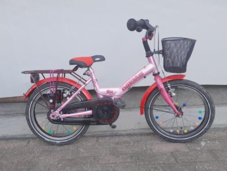 16 cali Batavus Koala z een mandje.