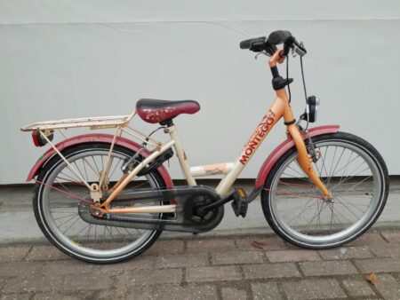 20 cali Montego Free Spirit z handremmen en een terugtraprem.