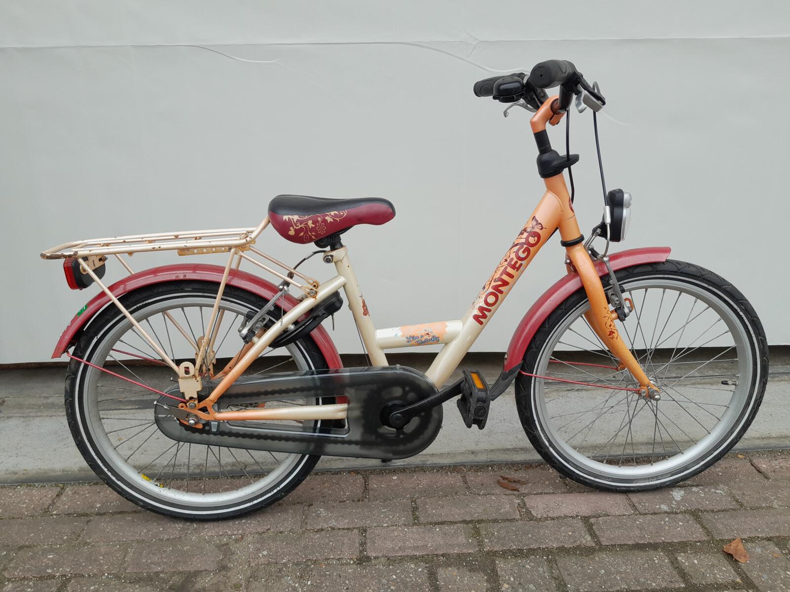 20 cali Montego Free Spirit z handremmen en een terugtraprem.