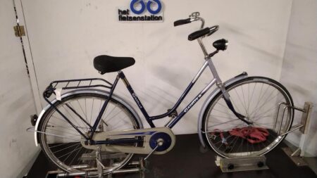 Gazelle Primeur - 3923
