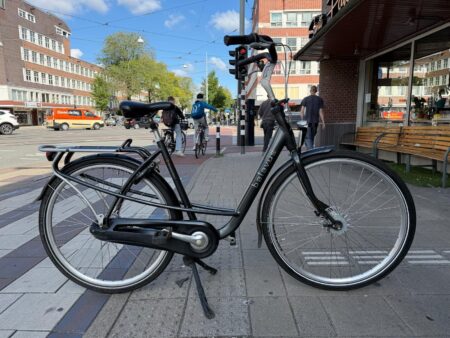 Szary/metaliczny Batavus Inspire mom's bike