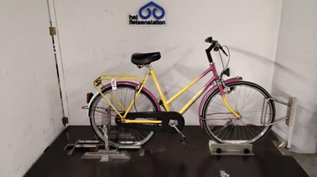 Gazelle Piet Pelle - 4617