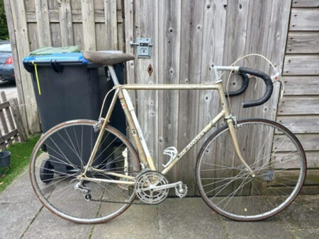 Metal/Szary Jan Janssen Shimano 600EX