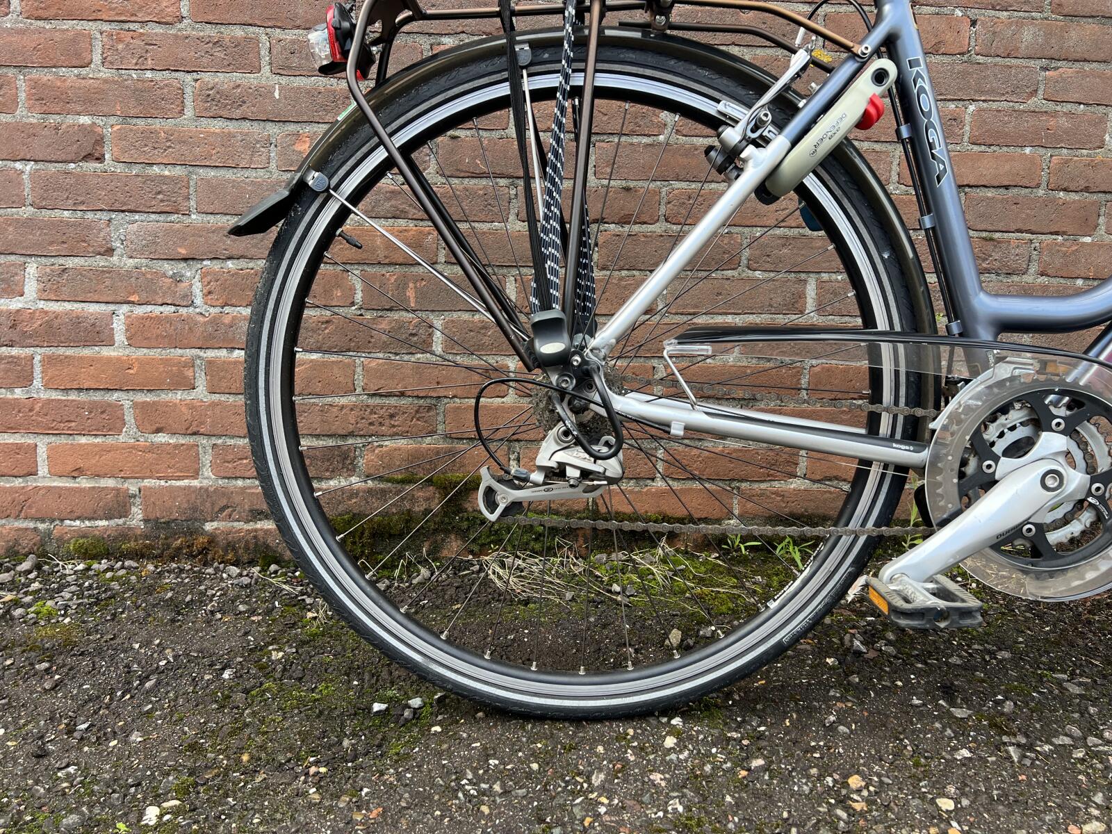 Niebieski Koga-Miyata - obrazek 2