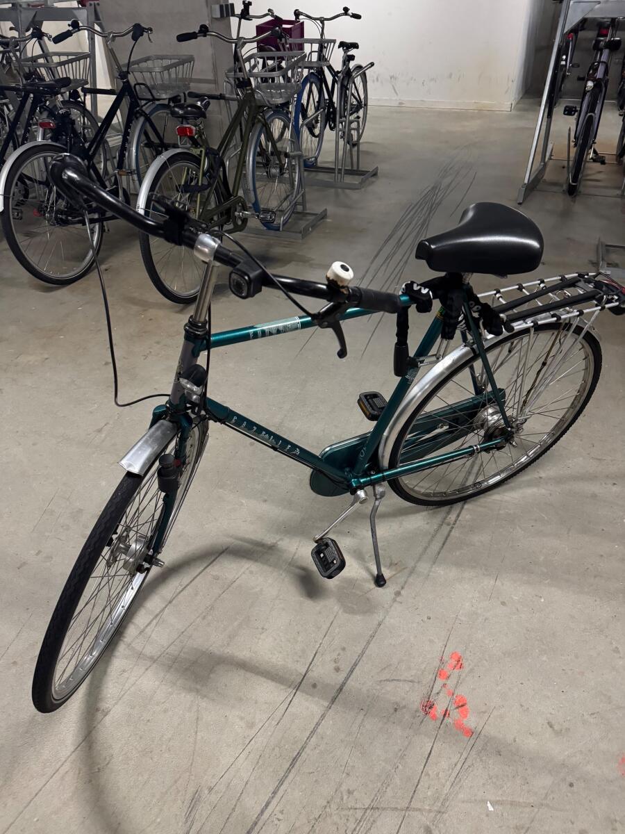 Szary/metaliczny Gazelle Europe - obrazek 2