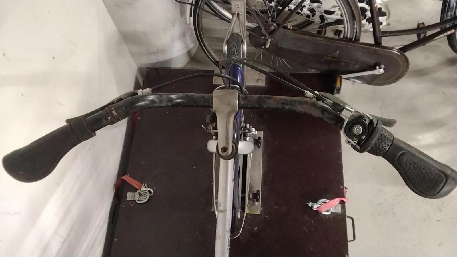 Batavus Beacle - 4390 - obrazek 2