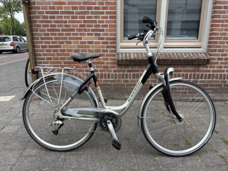 Szary/metaliczny Gazelle Medeo