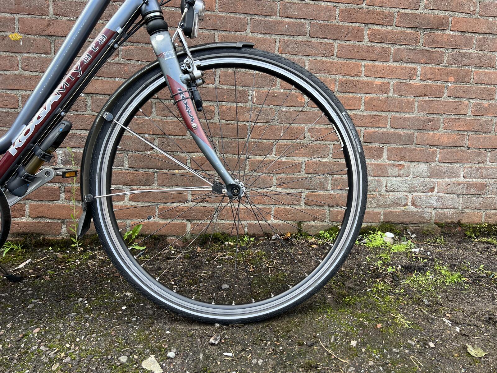 Niebieski Koga-Miyata - obrazek 3
